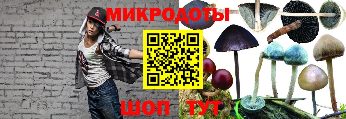 Иваново  Галлюциногенные грибы мухоморы  Вход с VPN 