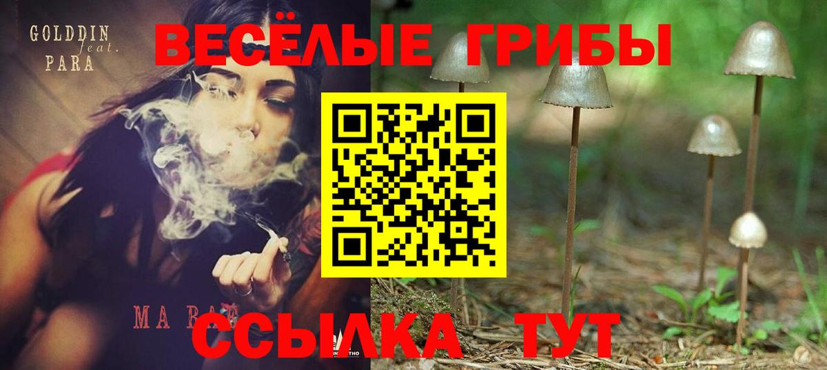 Псилоцибиновые грибы GOLDEN TEACHER Иваново